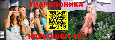 скорость Лесосибирск