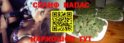 прущие грибы Ливны