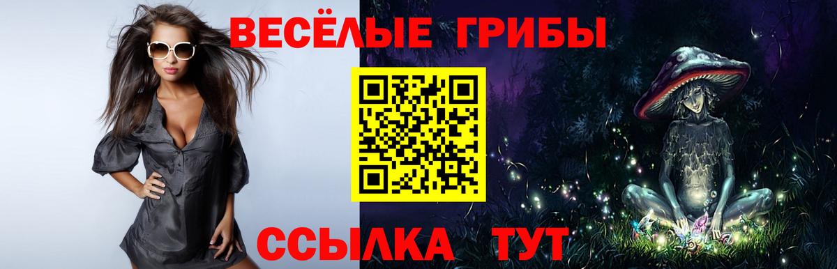 Владивосток  Псилоцибиновые грибы мухоморы  Галлюциногенные грибы Psilocybine cubensis  Вход с VPN 